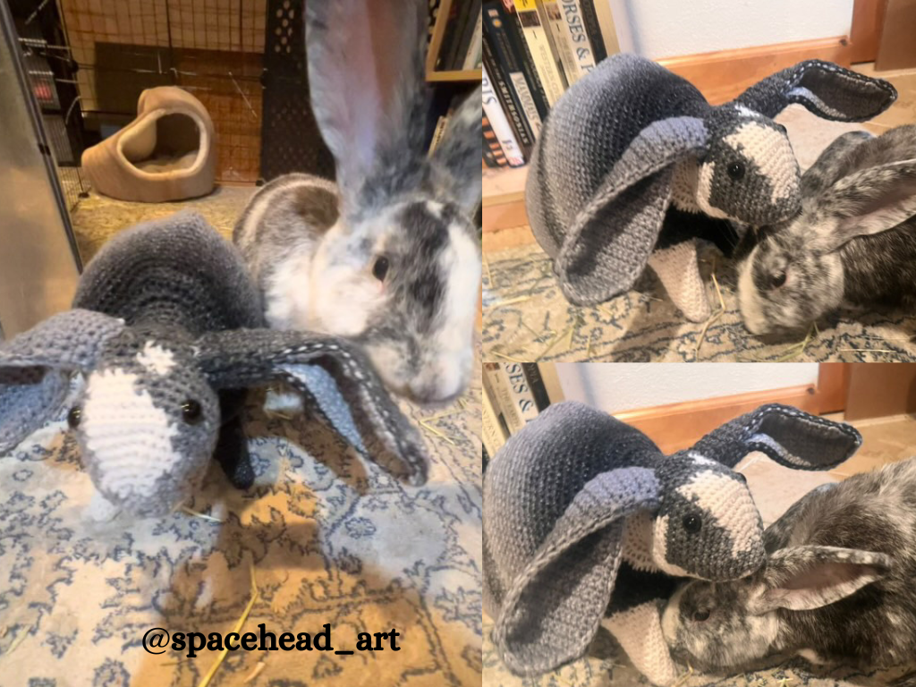 Modèle de crochet pour la peluche Tortilla le lapin